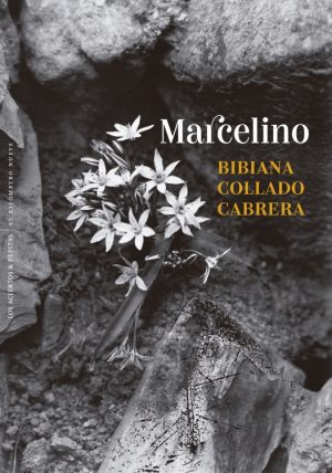 Macelino