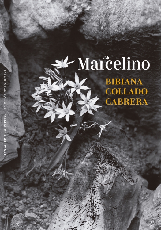 Macelino