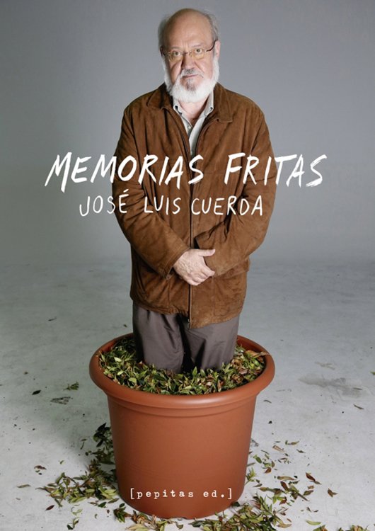 Memorias fritas