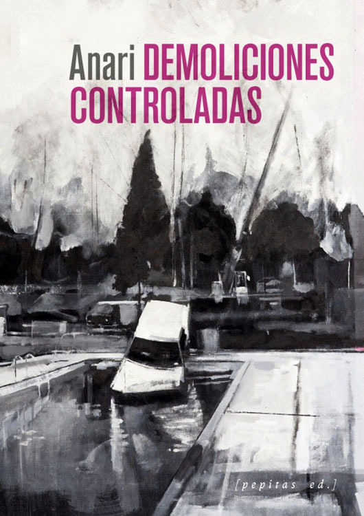 Demoliciones controladas