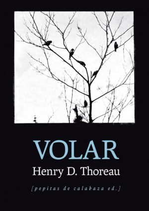 Volar