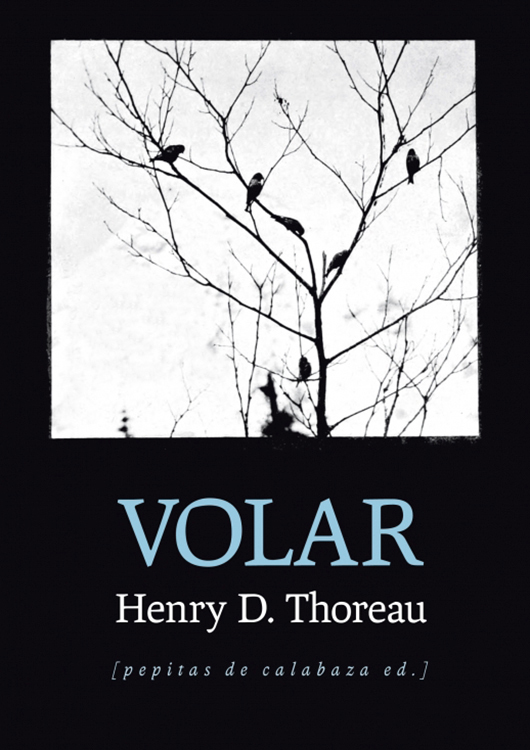 Volar